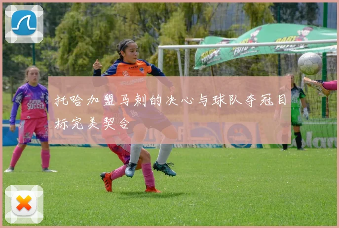 托哈加盟马刺的决心与球队夺冠目标完美契合